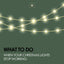 What to Do When Your Christmas Lights Stop Working