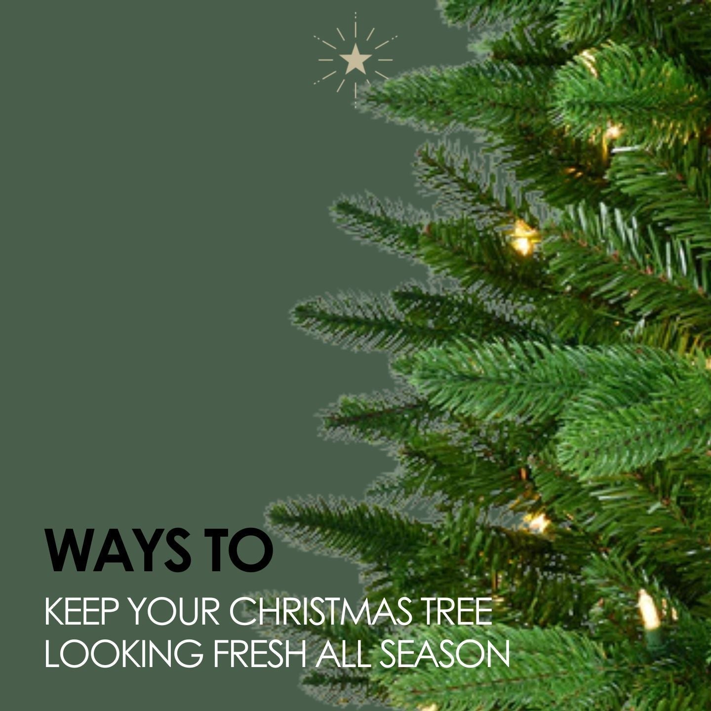 Ways To Keep Your Christmas Tree Looking Fresh All Season