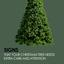 Signs That Your Christmas Tree Needs Extra Care And Attention