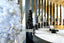 Monochrome Yuletide