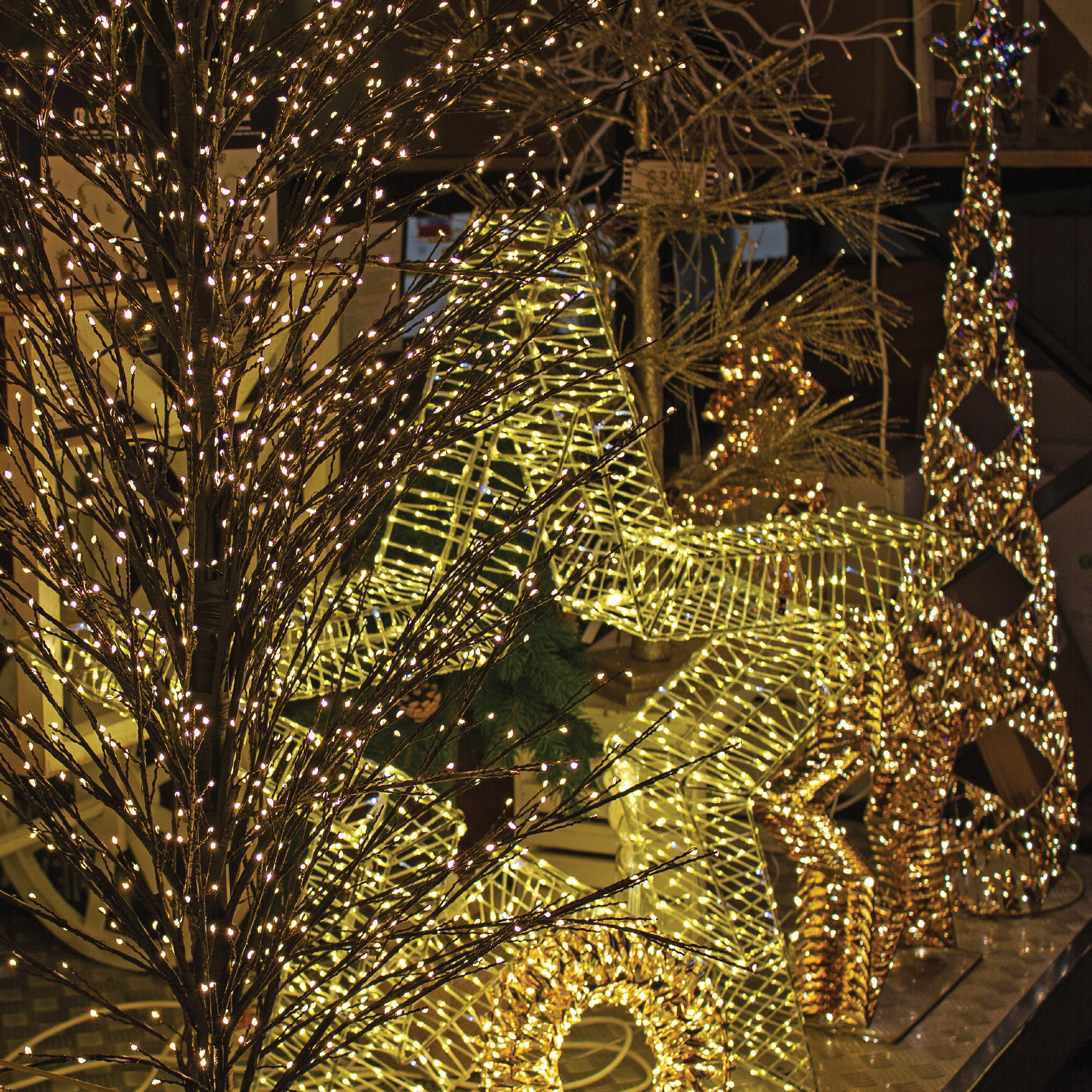 Decorative Lights