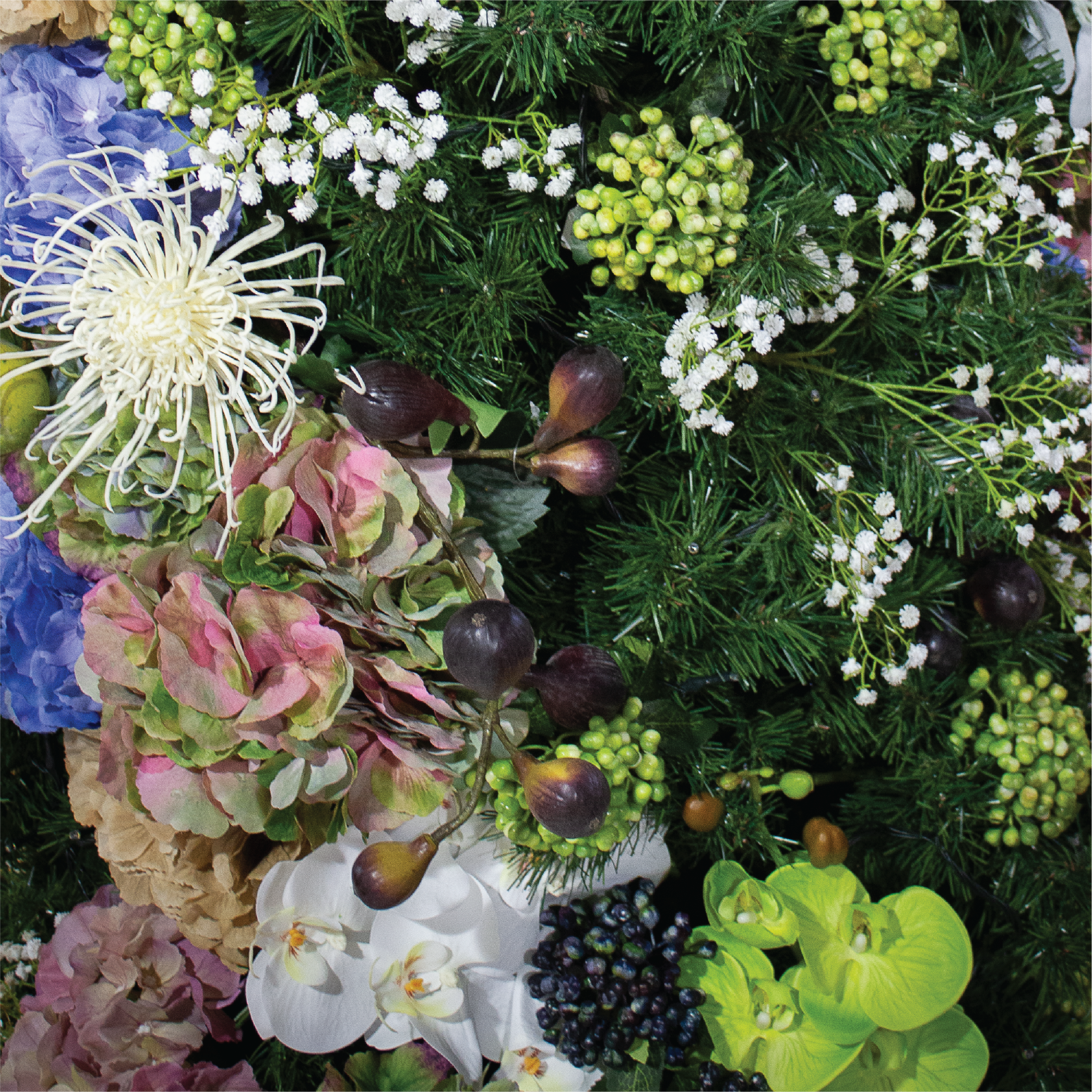 Festive Harvest