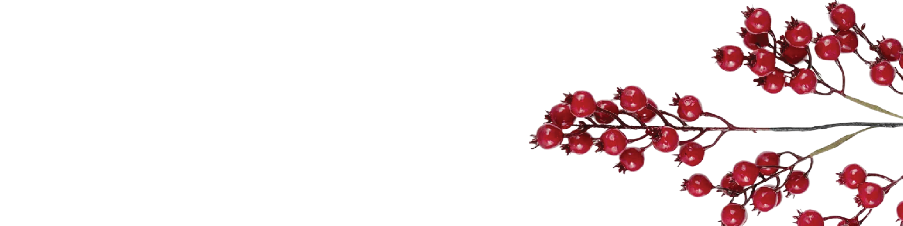 Berries