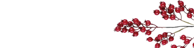Berries