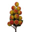 Festive Harvest