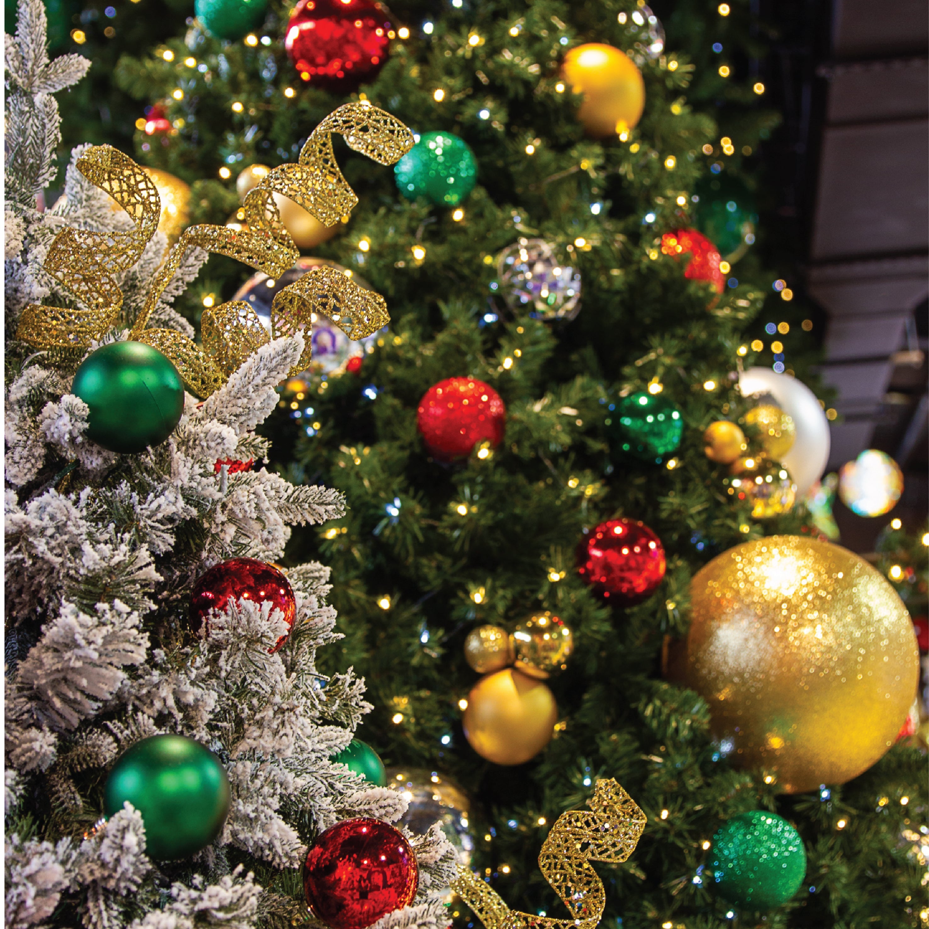 Tree Lights