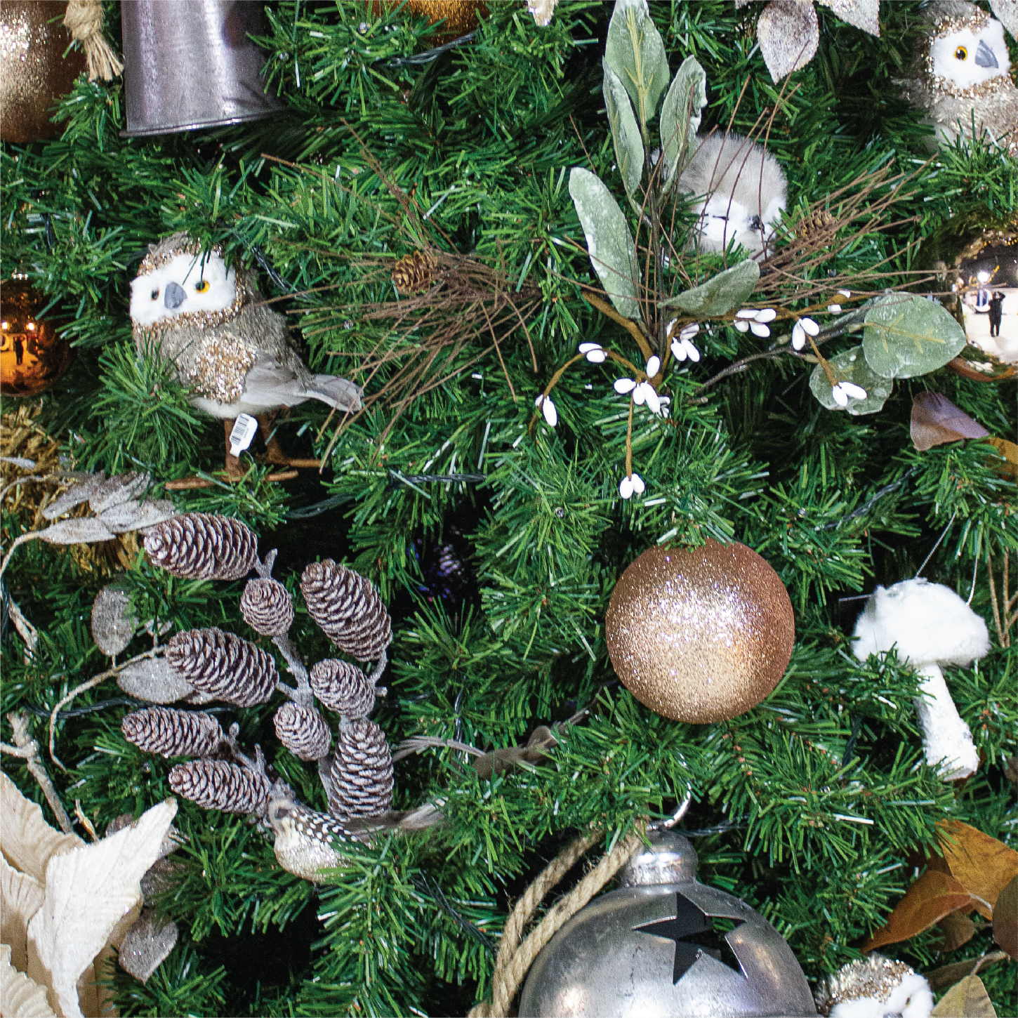 Woodland Whimsy