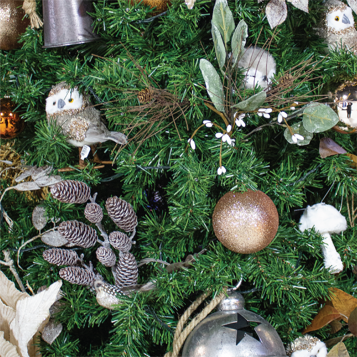 Woodland Whimsy