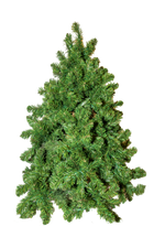 Tree Nordic 1.2m - Christmas Decorations Brisbane
