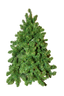 Tree Nordic 1.2m