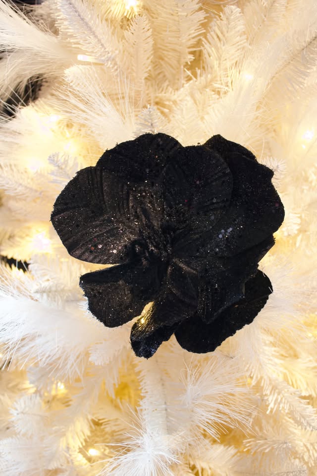 Poinsettia Black