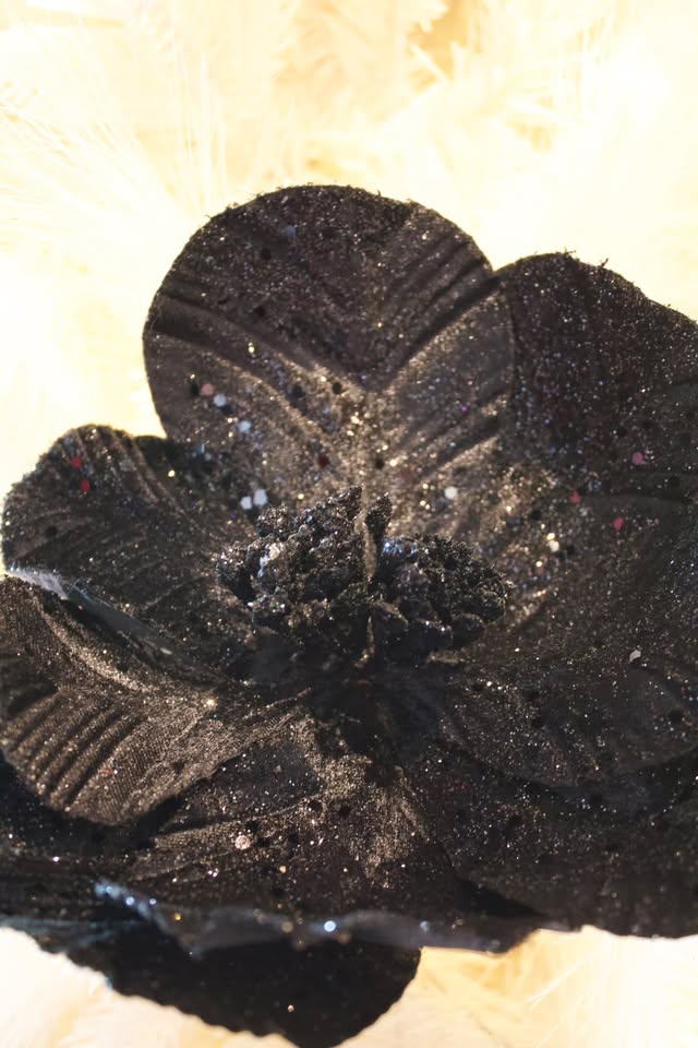 Poinsettia Black