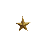 Star Glitter Gold 20cm - Christmas Decorations Brisbane