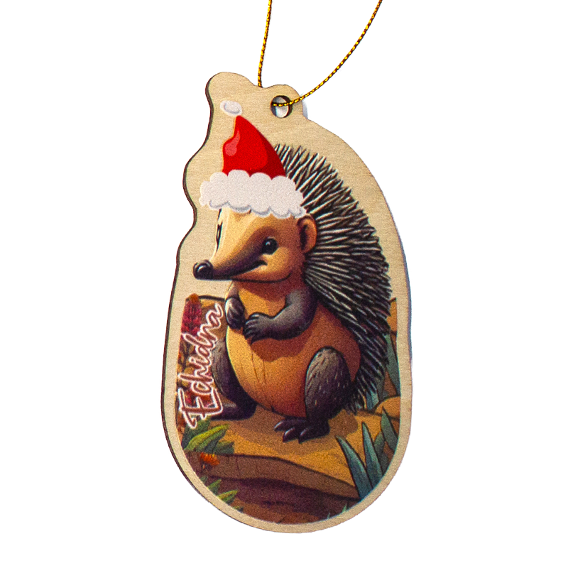 Echidna Wooden Ornament