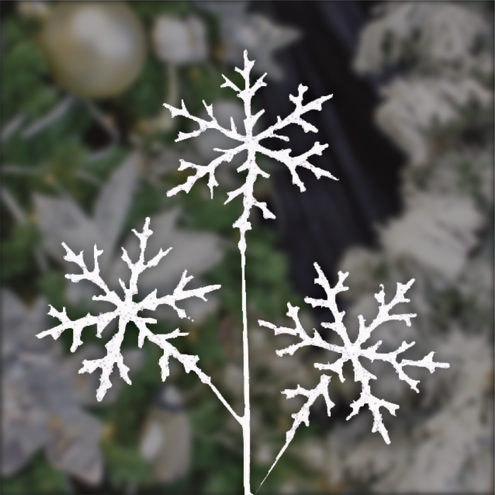 Arctic Christmas