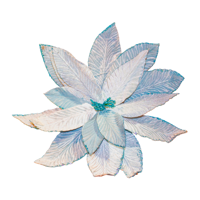 Poinsettia Ice Blue 45cm