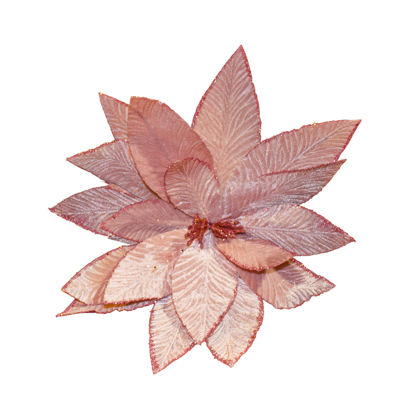 Poinsettia Pink 45cm