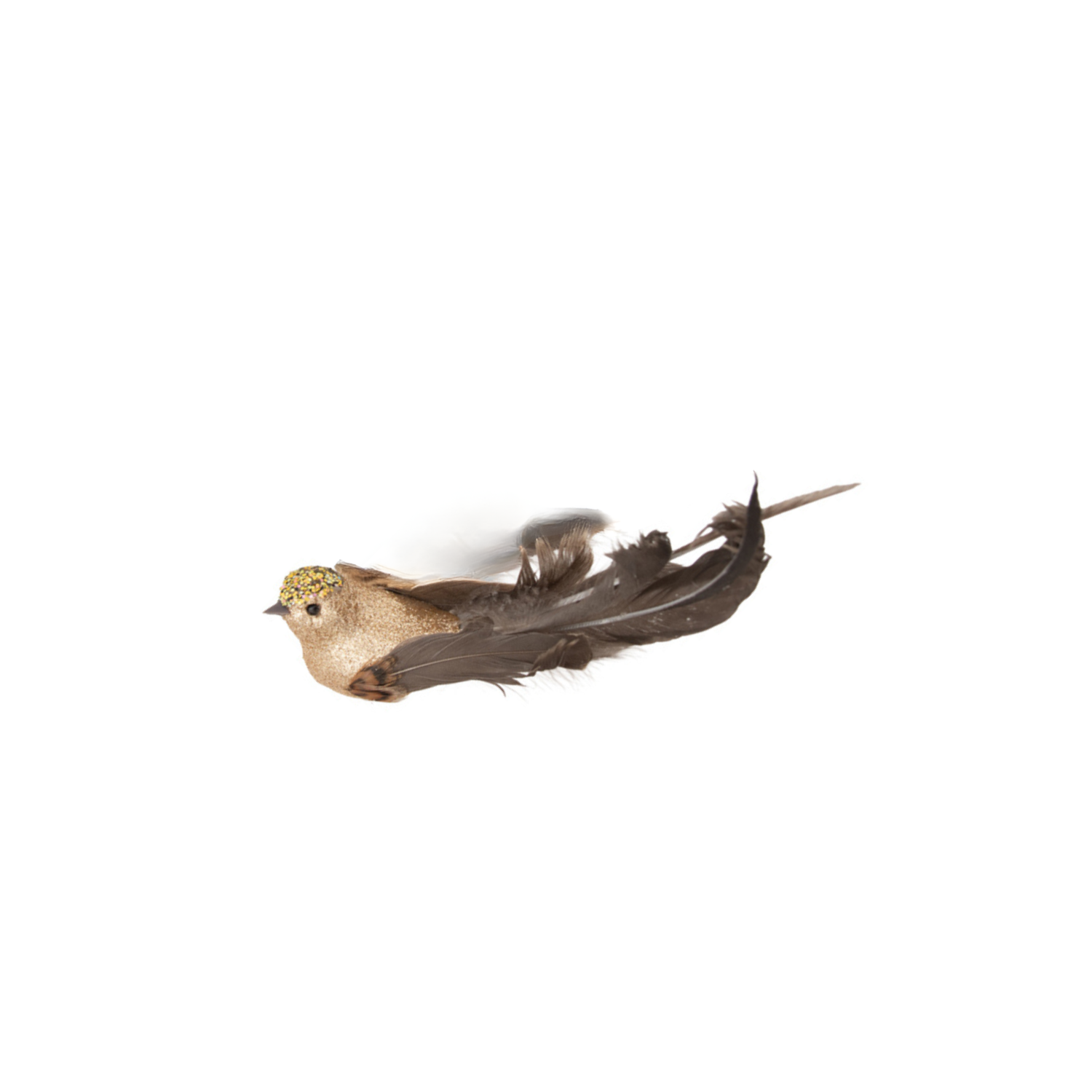 Birds Champagne Glitter with Dark Tail Clip On 18cm - Christmas Decorations Brisbane