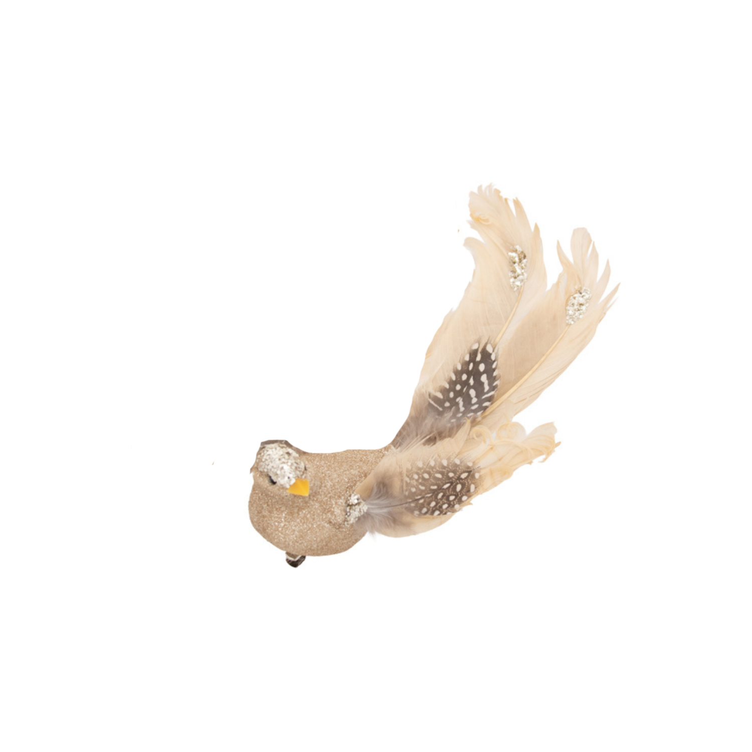 Birds Glitter Champagne with Spotted Tail Clip On 20cm - Christmas Decorations Brisbane