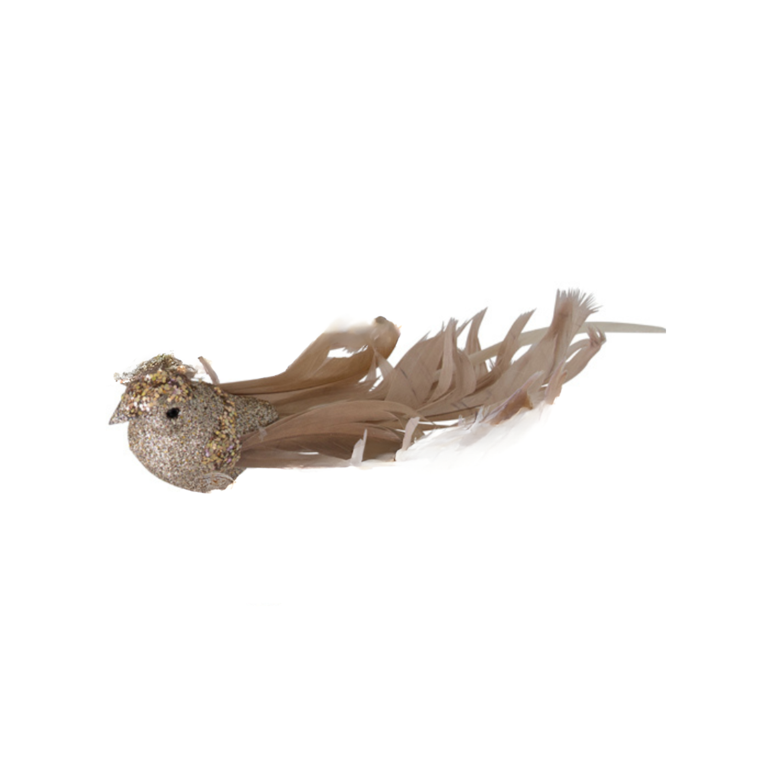 Birds Glitter Champagne with Curly Tail Clip On Three 18cm - Christmas Decorations Brisbane