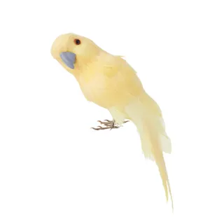 Parakeet Bird Ornament Yellow 19cm - Christmas Decorations Brisbane