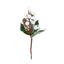 Pick Pinecone and White Berry 18cm