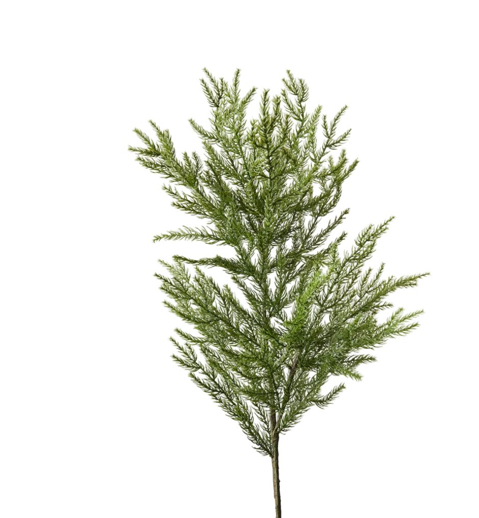 Spray Green Pine Cypress 40cm - Christmas Decorations Brisbane