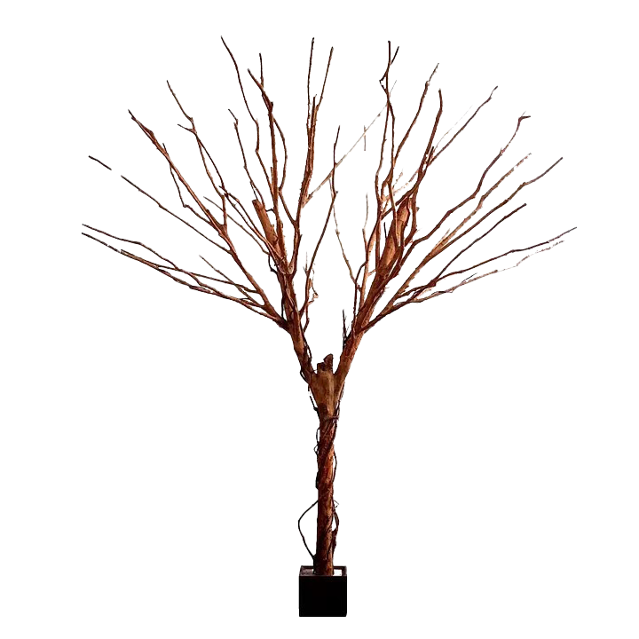 Giant Bareleaf Tree 4m - Christmas Decorations Brisbane