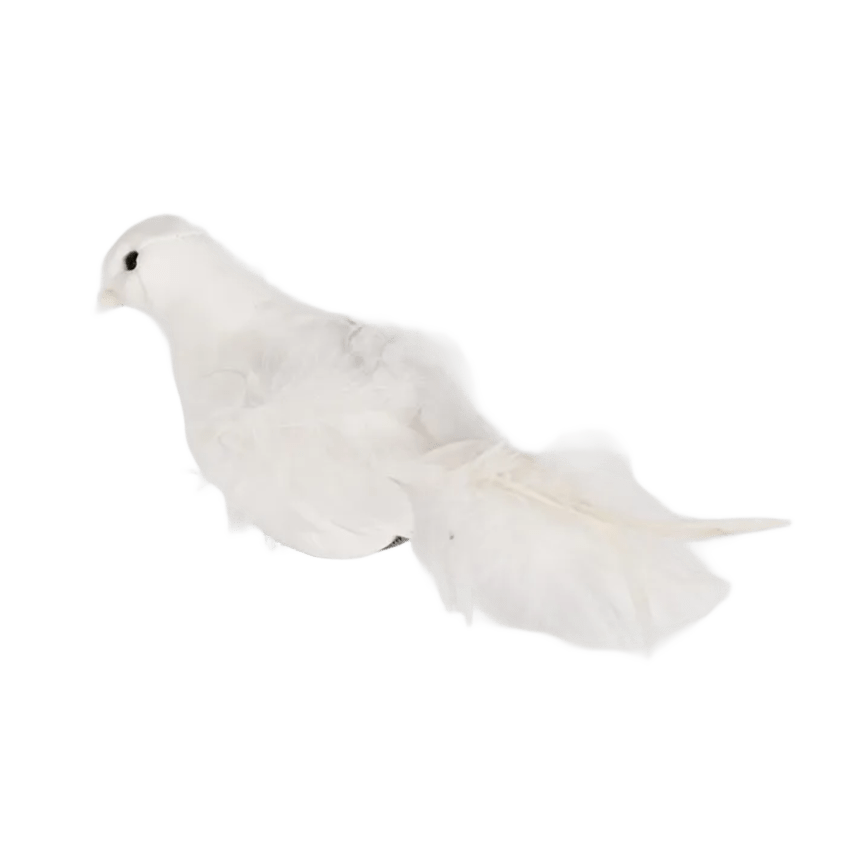 Bird White Feather 20cm - Christmas Decorations Brisbane