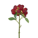 Spray Raspberry Bunch 30cm - Christmas Decorations Brisbane