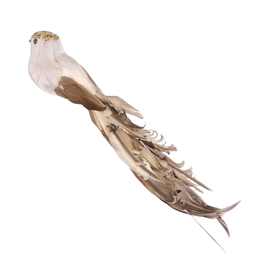 Bird Clip-On Latte 33cm