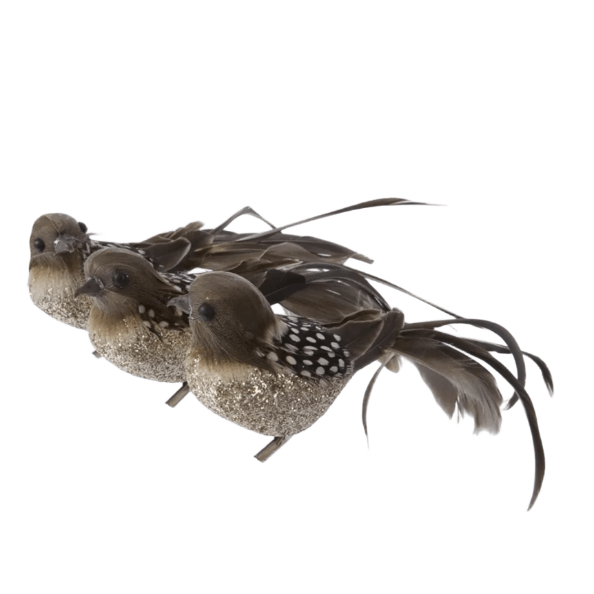 Bird Speckled Brown 22cm - Christmas Decorations Brisbane