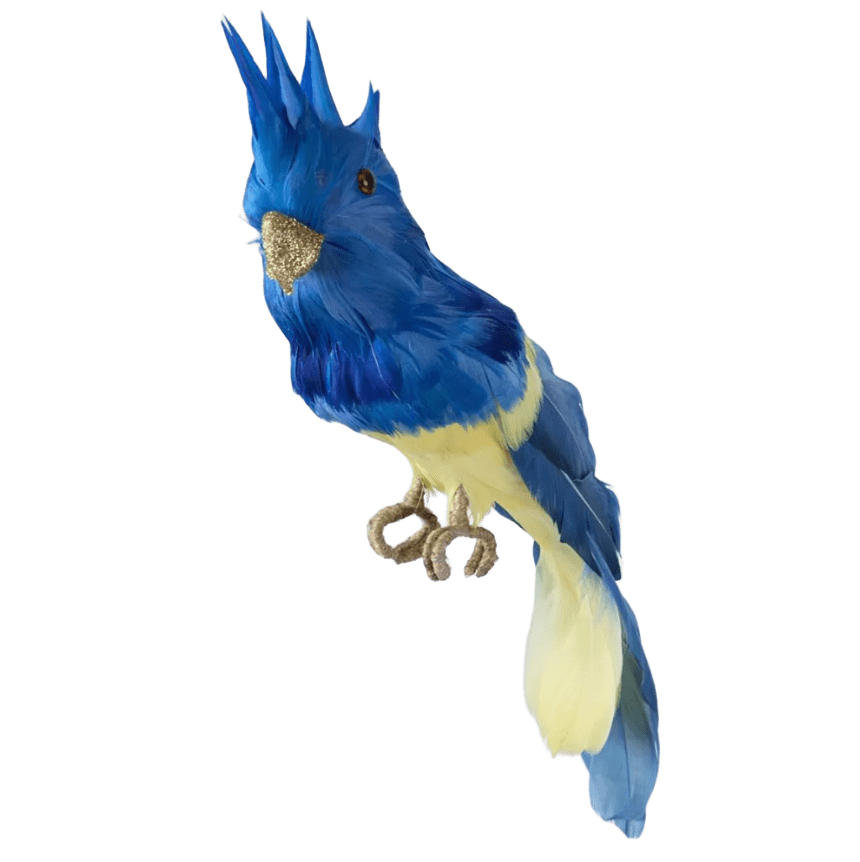 Bird Blue Crested 18cm