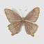 Butterfly Brown with Gold Clip-On 26cm
