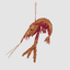 Prawn Glitter Red/Orange 26cm