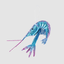 Prawn Glitter Blue/Pink 26cm