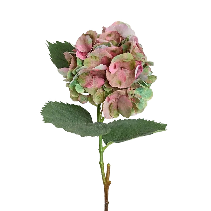 Flower Hydrangea Large Stem With Leaves Light Pink and Green 75cm - Christmas Decorations Brisbane