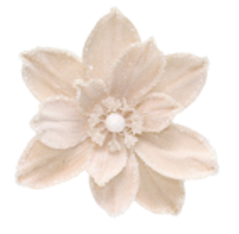 Flower Magnolia Clip Champagne 26cm - Christmas Decorations Brisbane