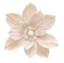 Flower Magnolia Clip Champagne 26cm