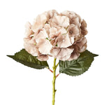 Flower Hydrangea Coffee 52cm - Christmas Decorations Brisbane