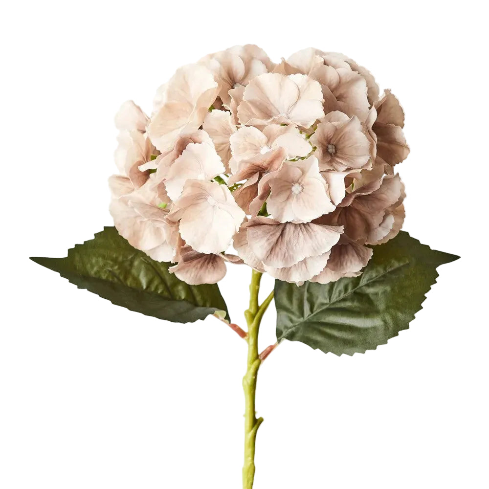 Flower Hydrangea Coffee 52cm - Christmas Decorations Brisbane