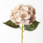 Flower Hydrangea Coffee 52cm - Christmas Decorations Brisbane