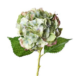 Flower Hydrangea Green/Burgandy 52cm - Christmas Decorations Brisbane