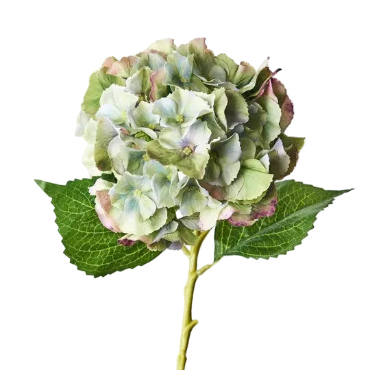 Flower Hydrangea Green/Burgandy 52cm - Christmas Decorations Brisbane