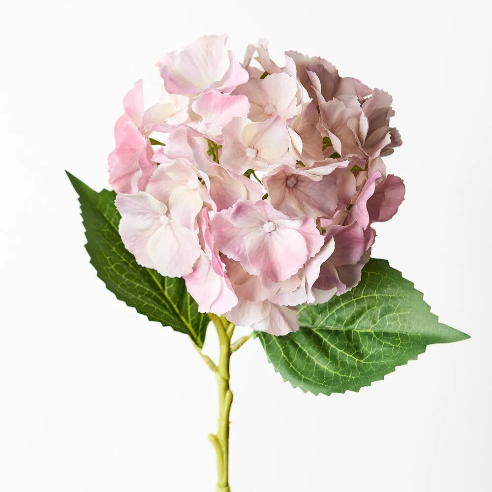 Flower Hydrangea Light Pink 52cm - Christmas Decorations Brisbane
