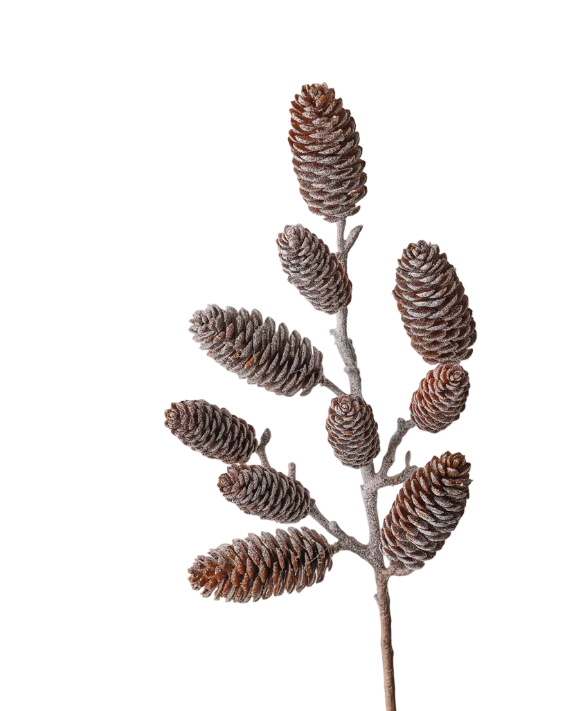 Pick Frosted Pinecone 60cm - Christmas Decorations Brisbane