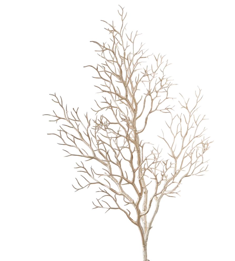 Pick Coral Branch Champagne 78cm - Christmas Decorations Brisbane