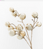 Spray Golden Pearl Luxe 53cm