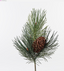 Green Pinecone Needle Pick 36cm