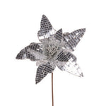 Silver disco poinsettia flower